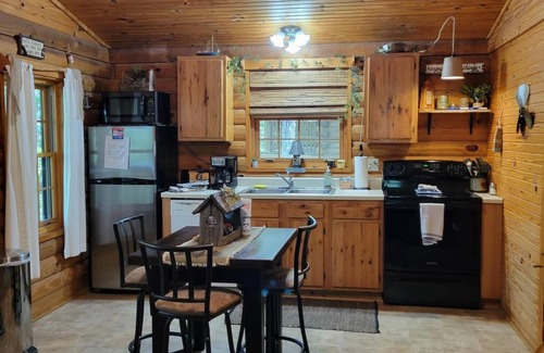 Shell Knob Cabin | Cabin #10-Cozy log cabin nestled in the woods brief walk to Table Rock Lake