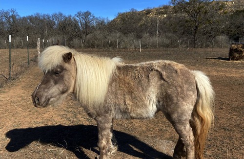 Lometa Cabin | Cabin- 10 miles from Colorado Bend State Park