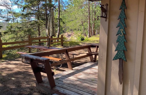 Au Train Cabin | Cabin 3 on the bank of the Autrain River next to the Hiawatha Forest.