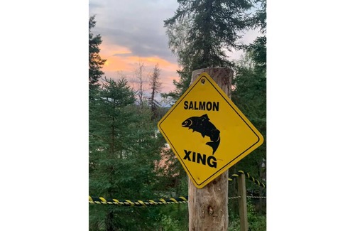 Sterling Cabin | Cabin 3 on the Kenai River