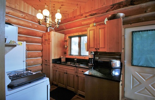 Maple Falls Cabin | Cabin #97 - 'pinecone' Log Cabin at the Lake that is Pet-friendly!