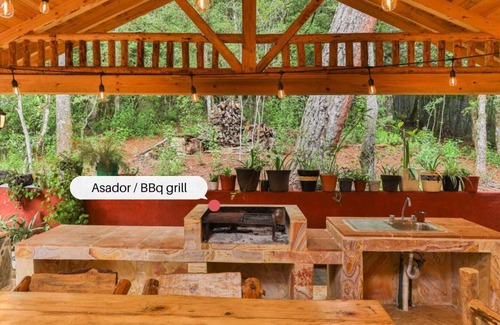 Acaxochitlan Apartment | Cabin at the Woods l Pet Friendly