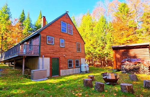 Beaver Cove Cabin | Cabin*ATV/Snowmobile Access*Fire pit*Wildlife