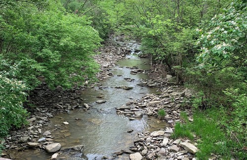 New Richmond Cabin | “Cabin by the Creek” located in Historic New Richmond, Ohio 3BR 2.5B sleeps 11