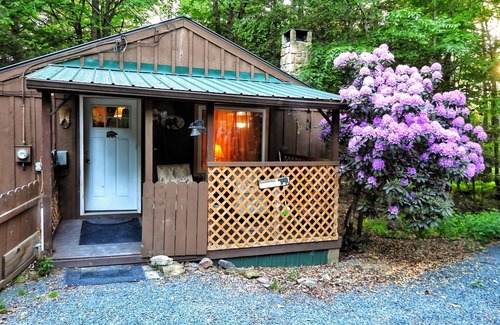 Dushore Cabin | Cabin close to Ricketts Glen and State Parks!