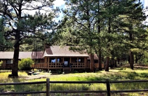 Williams Cabin | Cabin Escape surrounded by ponderosa pine trees and beautiful mountains.
