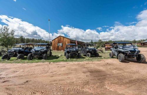 Lake George Apartment | Cabin in Colorado National Forest at MLazyC ranch!