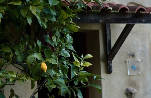 Gois Cottage | Cabin in the Forest - A Perfect Refuge in Nature