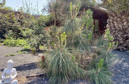 San Bartolome Cabin | Cabin in the middle of nature