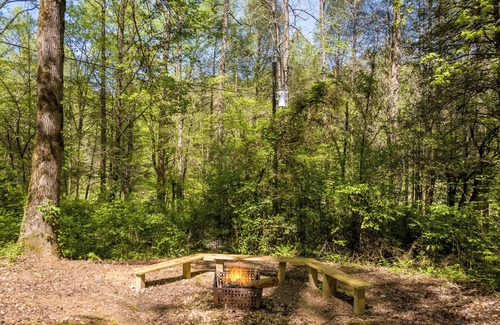 Ellijay Cabin | Cabin in the mountains with hot tub!