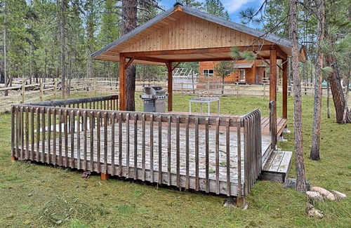 Seeley Lake Cabin | Cabin in the trees next to public land! (Dog friendly!)