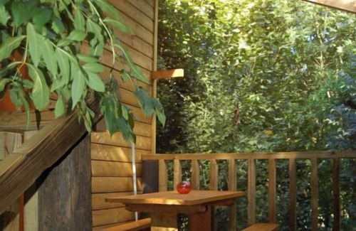 Cleville Cabin | Cabin in the woods with 2 bedrooms