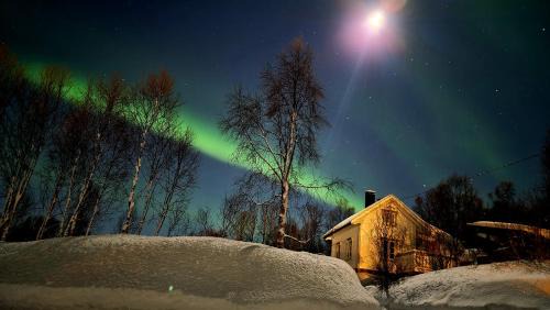 Botnhamn House | Cabin magic on Senja, atmosphere like a fairytale