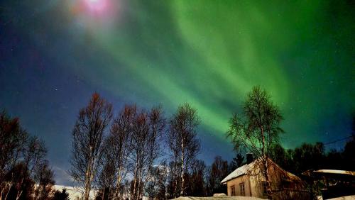 Botnhamn House | Cabin magic on Senja, atmosphere like a fairytale