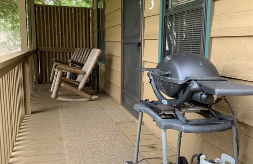 Rabun Gap Cabin | Cabin on a hillside overlooking beautiful Valley Springs Lake pet friendly (dog)