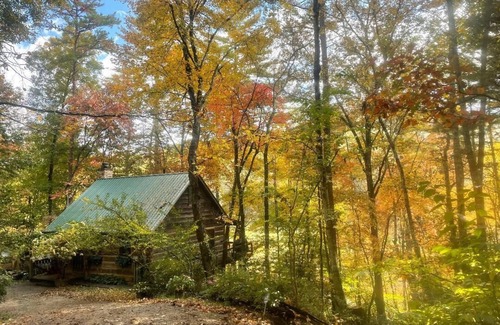 Blue Ridge Cabin | Cabin on White Water Toccoa River!