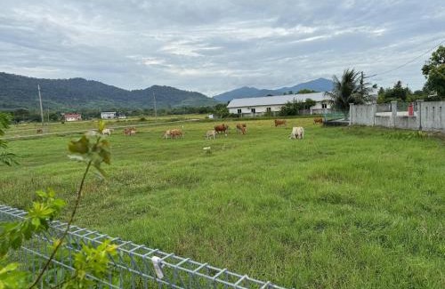 Kuala Teriang Hotel | Cabin Roomstay with Pool in Langkawi