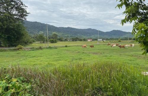 Kuala Teriang Hotel | Cabin Roomstay with Pool in Langkawi