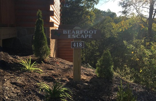 Pigeon Forge Cabin | Cabin Sleeps 8 w/2 King Suites, Theater/Hot Tub/Pool Table, Small Dog Friendly!