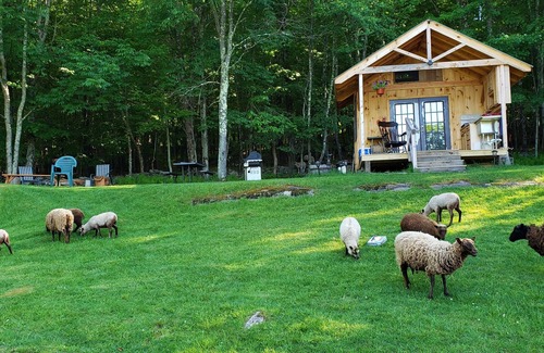 Jeffersonville Cabin | Cabin with Amazing Views of the Mountains