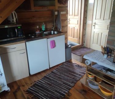 Zemgale House | Cabin with a sauna& pond+a hot Tub(additional fee)