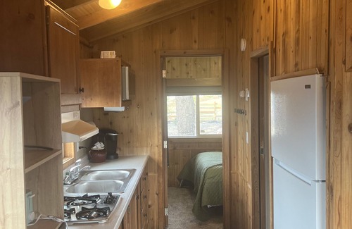 Aurora Cabin | Cabin with a View