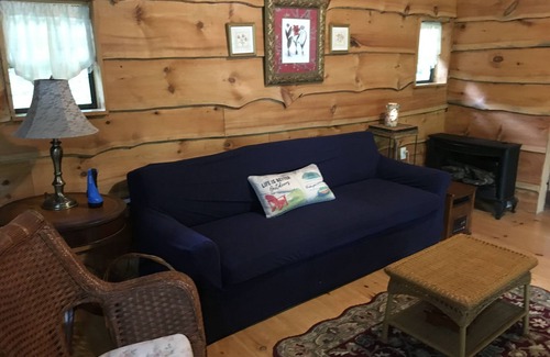 Trumansburg Cabin | Cabin with lake views and beach access!