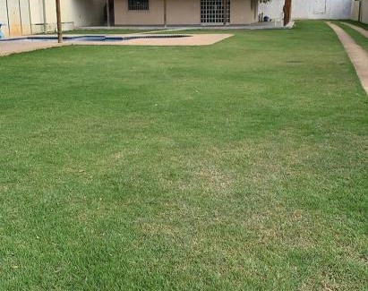 Centro House | Cachara Reis