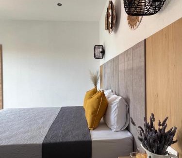 Skiathos Town Apartment | Cactus