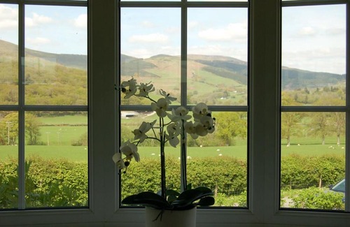 Cwrt House | Cae Talgarth Bungalow at Plas Talgarth Resort