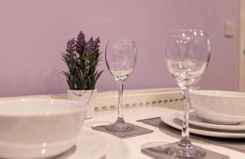 Hendrerwydd House | Caer Fedwen Barns Blodyn Cottage Cosy Self Catering with Private Hot Tub