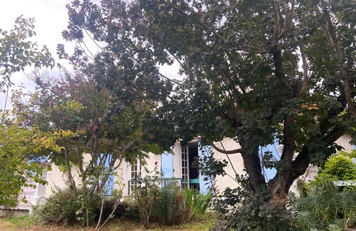 Gaillac House | Calm and Relaxation in the TARN, at the crossroads of the Bastides.