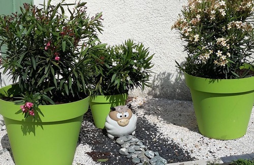 Cazalis Hotel | Calm, serenity and nature are the watchwords of our guest rooms