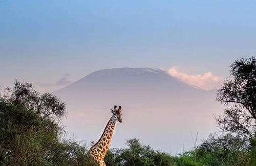 Oloitoktok RV Rental | Camp David Amboseli