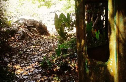 Itacimirim Other | Camp do Riso