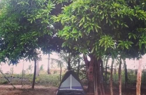 Itacimirim Other | Camp do Riso