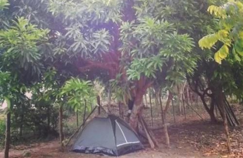 Itacimirim Other | Camp do Riso