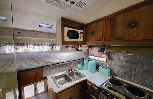 Citrus Springs Cabin | Camp in our Vintage 70's Tiny Camper with Central A/C and Heat