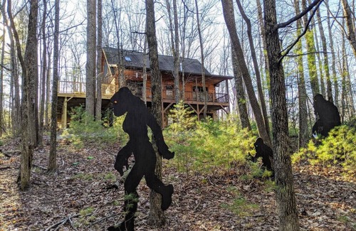 Deep Gap Cabin | Camp Sasquatch - Sleeps 8 - Pets Ok - Hike - Fish