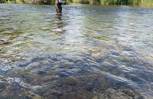 Ravalli County Other | CAMP SULA - RV SPOT 18