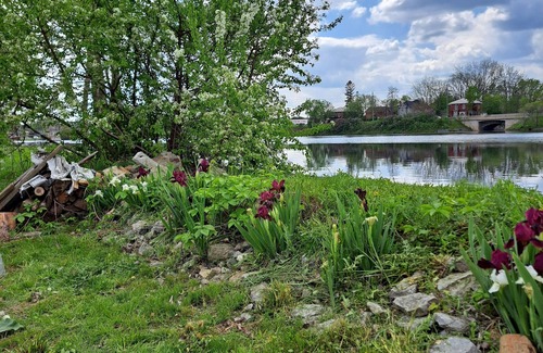 Trent Hills House | Campbellford Studio Unit Apt 5