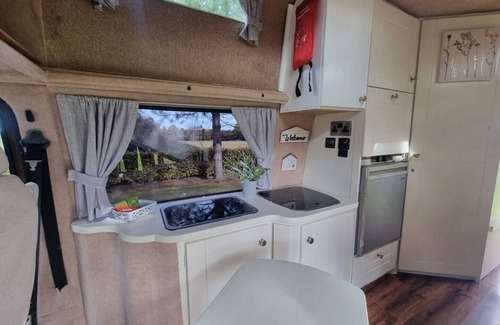City Centre Dublin House | Camper 6 “Warrior”