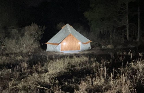 Morris Chapel RV Rental | Campground at Ladybug Forest