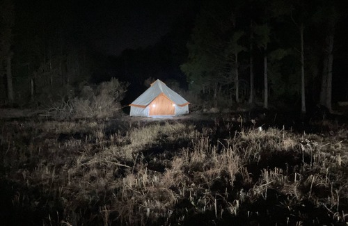 Morris Chapel RV Rental | Campground at Ladybug Forest