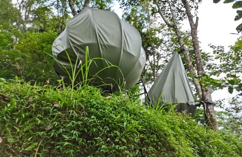 Hargomulyo Other | Campground Sepapring Mikjager