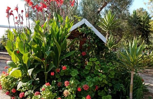 Galatone House | Campi Latini