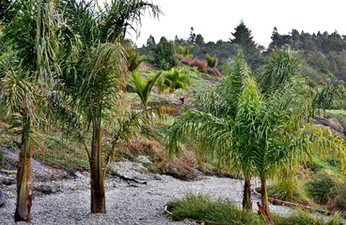 Te Arai Other | Camping ∙ 1 bedroom ∙ 4 guests