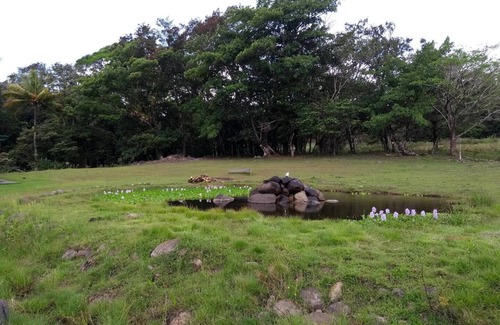 Tierras Morenas RV Rental | Camping and parking area for your motor home 4