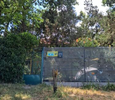 Vama Veche Other | Camping Curtea Pescărușului