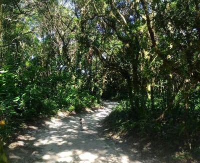 Paranagua Hotel | Camping e Pousada do Ade